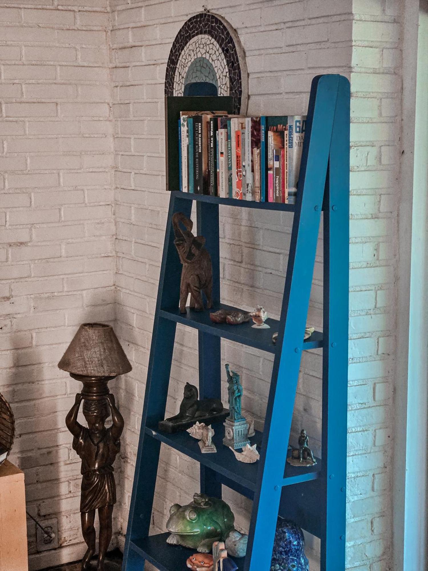 Bella Vista Ocean View Hotel Búzios Kültér fotó A blue ladder shelf