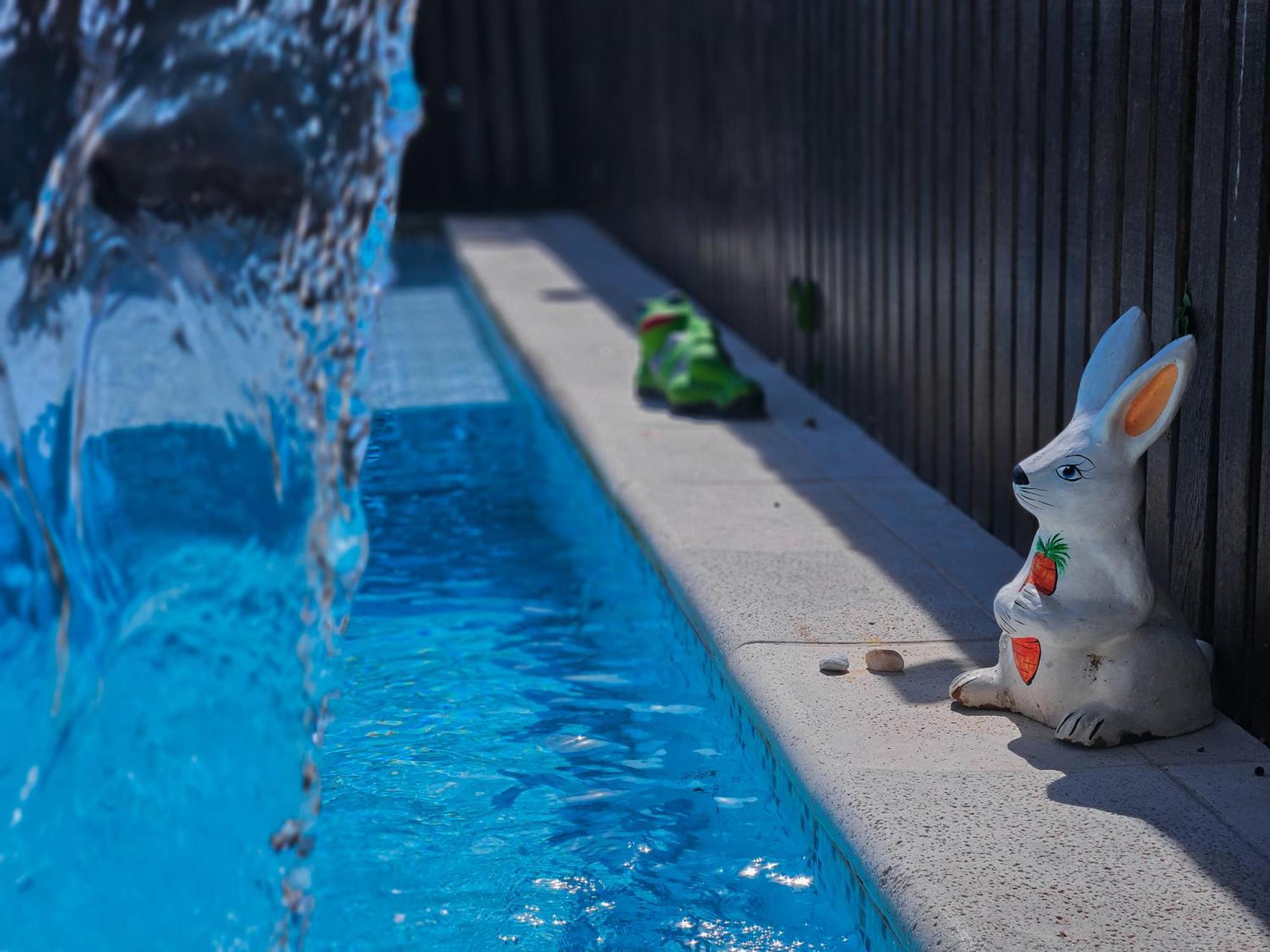 Bella Vista Ocean View Hotel Búzios Kültér fotó A bunny watering can